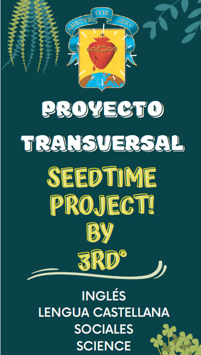 Proyecto transversal 3°